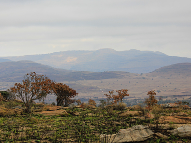 Blyde River Nature Preserve, Mpumalanga Province, South Africa, 2013. Copyright Angela Aliff. CC BY-NC 3.0 Blyde River Nature Preserve, Mpumalanga Province, South Africa, 2013. Copyright Angela Aliff. CC BY-NC 3.0