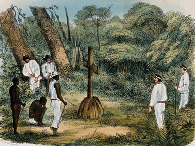 'Bishop Mackenzie's Grave – The cross was placed there by Dr. Livingstone 1863.' Copyright Wellcome Library, London. CC BY 4.0 'Bishop Mackenzie's Grave – The cross was placed there by Dr. Livingstone 1863.' Copyright Wellcome Library, London. CC BY 4.0