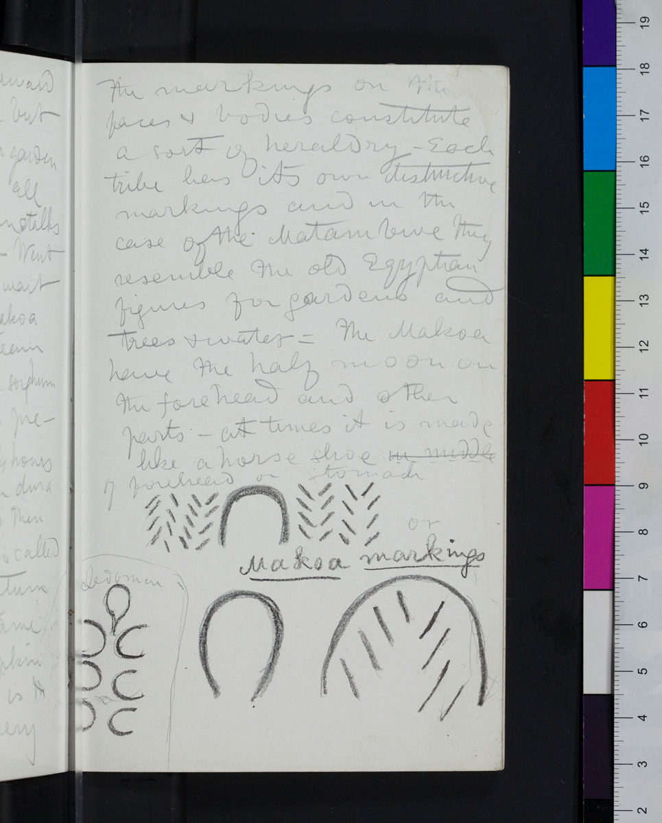 Image of a page of David Livingstone, Field Diary III, 14 May-30 June 1866: [37]. Copyright David Livingstone Centre. Creative Commons Attribution-NonCommercial 3.0 Unported (https://creativecommons.org/licenses/by-nc/3.0/).