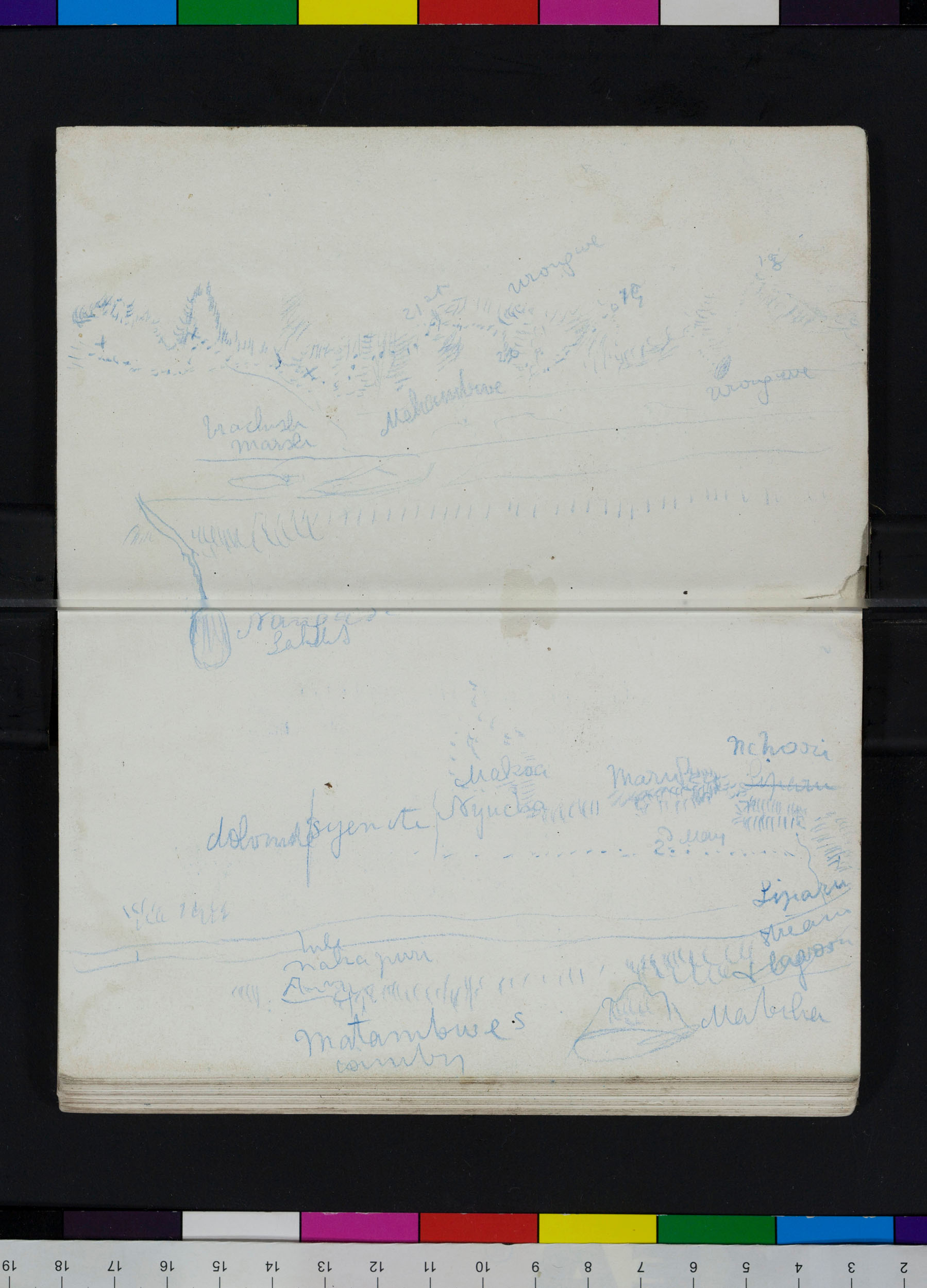 An image of two pages of Field Diary II (Livingstone 1866a:[106]-[107]). Copyright David Livingstone Centre. Creative Commons Attribution-NonCommercial 3.0 Unported (https://creativecommons.org/licenses/by-nc/3.0/).