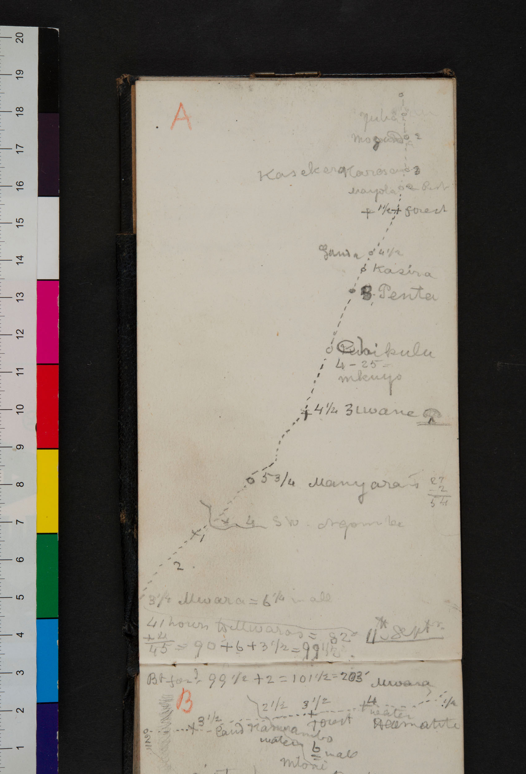 An image of a page of Field Diary XV (Livingstone 1872g:[38]). Copyright David Livingstone Centre. Creative Commons Attribution-NonCommercial 3.0 Unported (https://creativecommons.org/licenses/by-nc/3.0/).