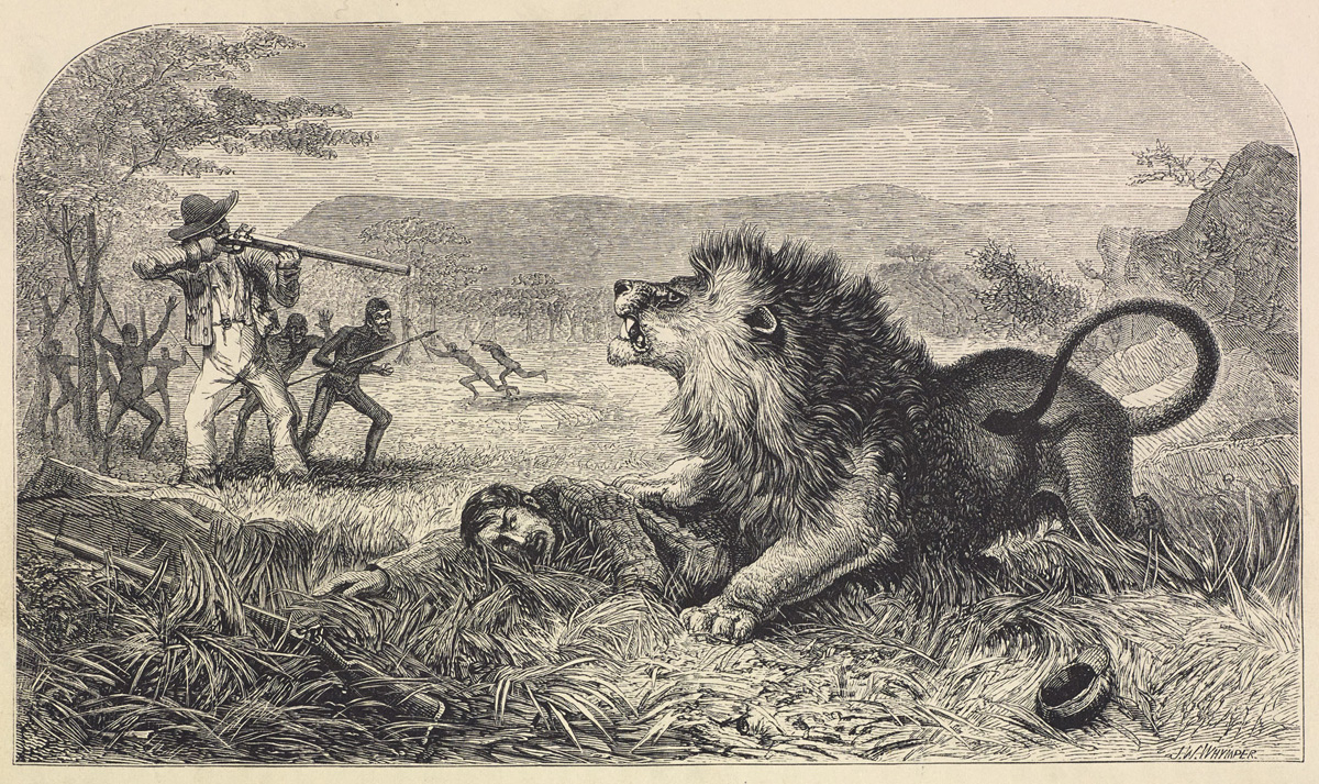 The Missionary's Escape from the Lion. Illustration from Missionary Travels (Livingstone 1857aa:opposite 13). Copyright National Library of Scotland. Creative Commons Share-alike 2.5 UK: Scotland (https://creativecommons.org/licenses/by-nc-sa/2.5/scotland/).