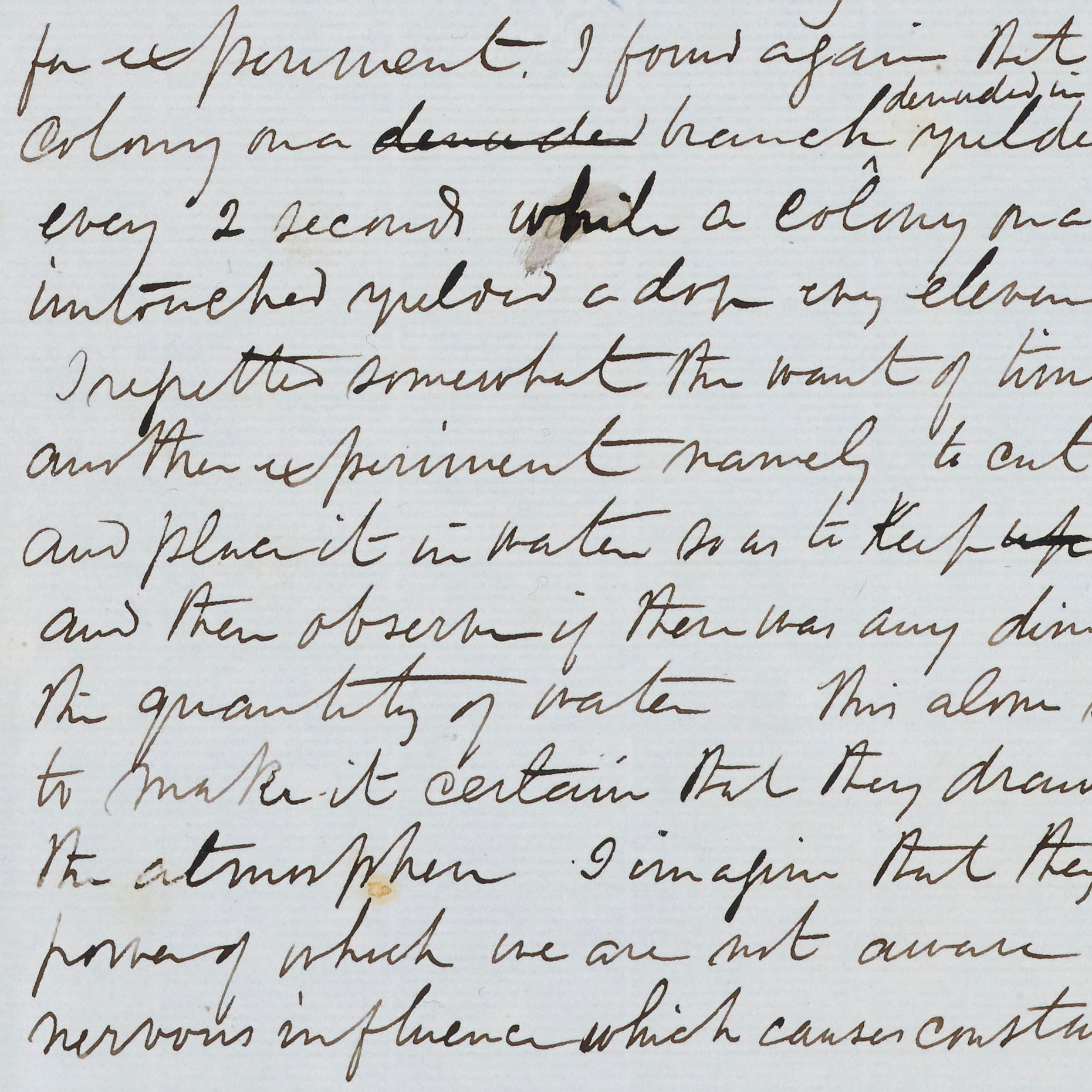 Image of a page segment from the Missionary Travels manuscript (Livingstone 1857dd:[97]), detail. Copyright National Library of Scotland. Creative Commons Share-alike 2.5 UK: Scotland (https://creativecommons.org/licenses/by-nc-sa/2.5/scotland/).