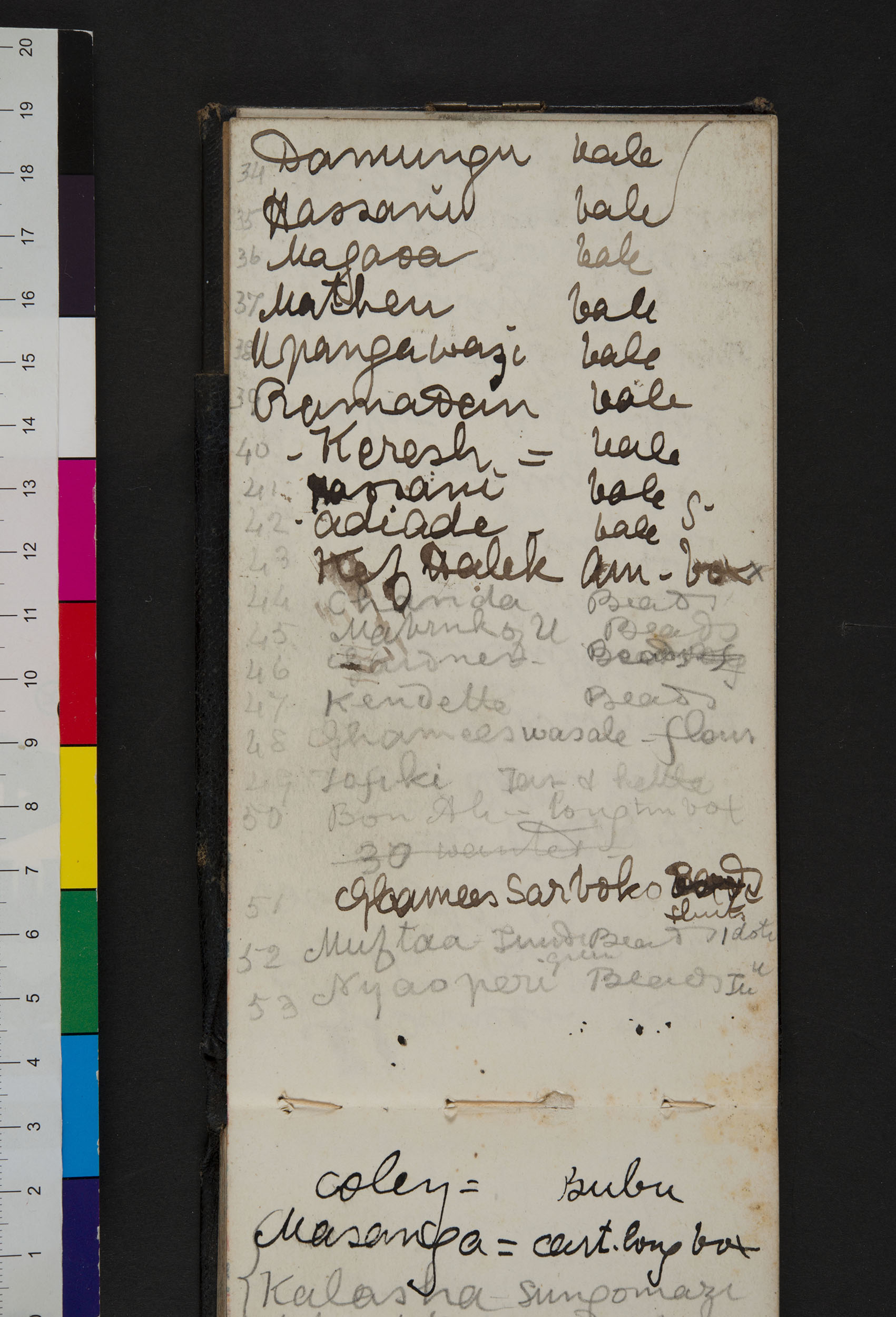 An image of a page of Field Diary XVI (Livingstone 1872g:[34]). Copyright David Livingstone Centre. Creative Commons Attribution-NonCommercial 3.0 Unported (https://creativecommons.org/licenses/by-nc/3.0/).