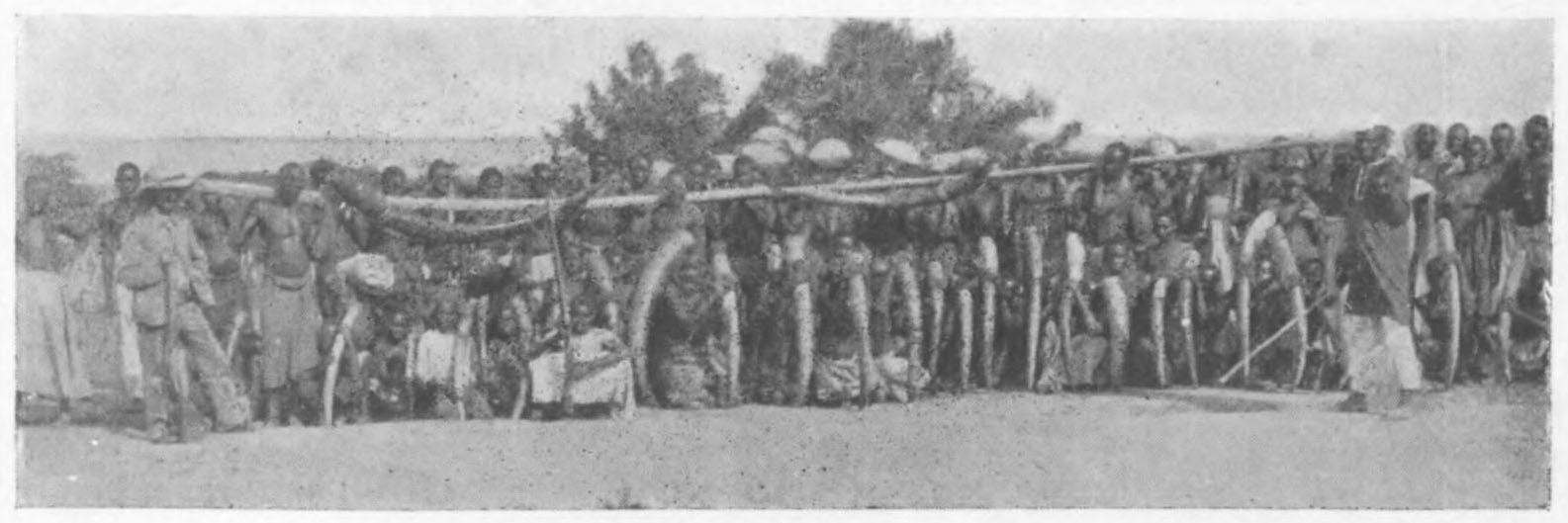 An Ivory Caravan Arriving at Kotakota. Image from Harry H. Johnston, British Central Africa (London: Methuen & Co., 1897), 178. Courtesy of Internet Archive.