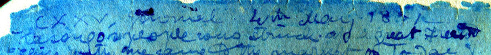 A processed spectral image of a page of the 1871 Field Diary (Livingstone 1871f:CXXV spectral_ratio), detail. Copyright David Livingstone Centre, Blantyre. As relevant, copyright Dr. Neil Imray Livingstone Wilson. Creative Commons Attribution-NonCommercial 3.0 Unported (https://creativecommons.org/licenses/by-nc/3.0/).