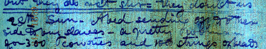 A processed spectral image of a page of the 1871 Field Diary (Livingstone 1871f:CXV spectral_ratio), detail. Copyright David Livingstone Centre, Blantyre. As relevant, copyright Dr. Neil Imray Livingstone Wilson. Creative Commons Attribution-NonCommercial 3.0 Unported (https://creativecommons.org/licenses/by-nc/3.0/).