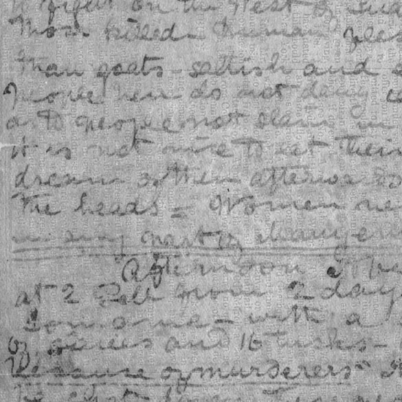 A processed spectral image of a page of the 1871 Field Diary (Livingstone 1871f:CXXVI pca621r), detail. Copyright David Livingstone Centre, Blantyre. As relevant, copyright Dr. Neil Imray Livingstone Wilson. Creative Commons Attribution-NonCommercial 3.0 Unported (https://creativecommons.org/licenses/by-nc/3.0/).