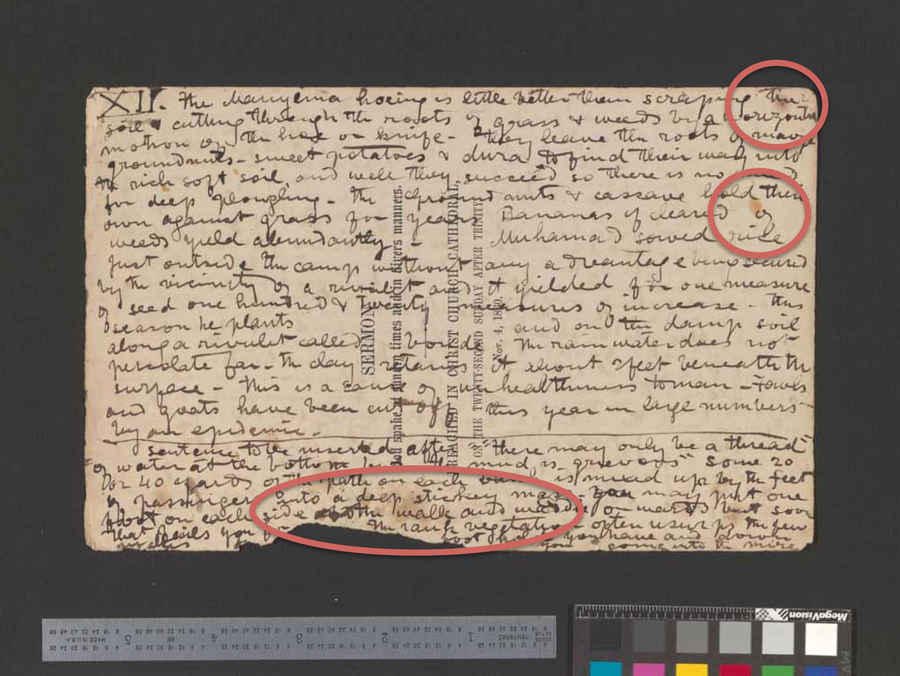 PowerPoint slide of the 1870 Field Diary with regions of interest (ROIs) circled - stains in this case. Copyright Livingstone Online. Creative Commons Attribution-NonCommercial 3.0 Unported (https://creativecommons.org/licenses/by-nc/3.0/).