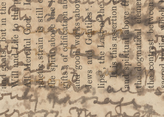 A natural image of a page from the 1870 Field Diary (Livingstone 1870i:XLVIII), detail. Copyright National Library of Scotland and, as relevant, Neil Imray Livingstone Wilson. Creative Commons Attribution-NonCommercial 3.0 Unported (https://creativecommons.org/licenses/by-nc/3.0/).