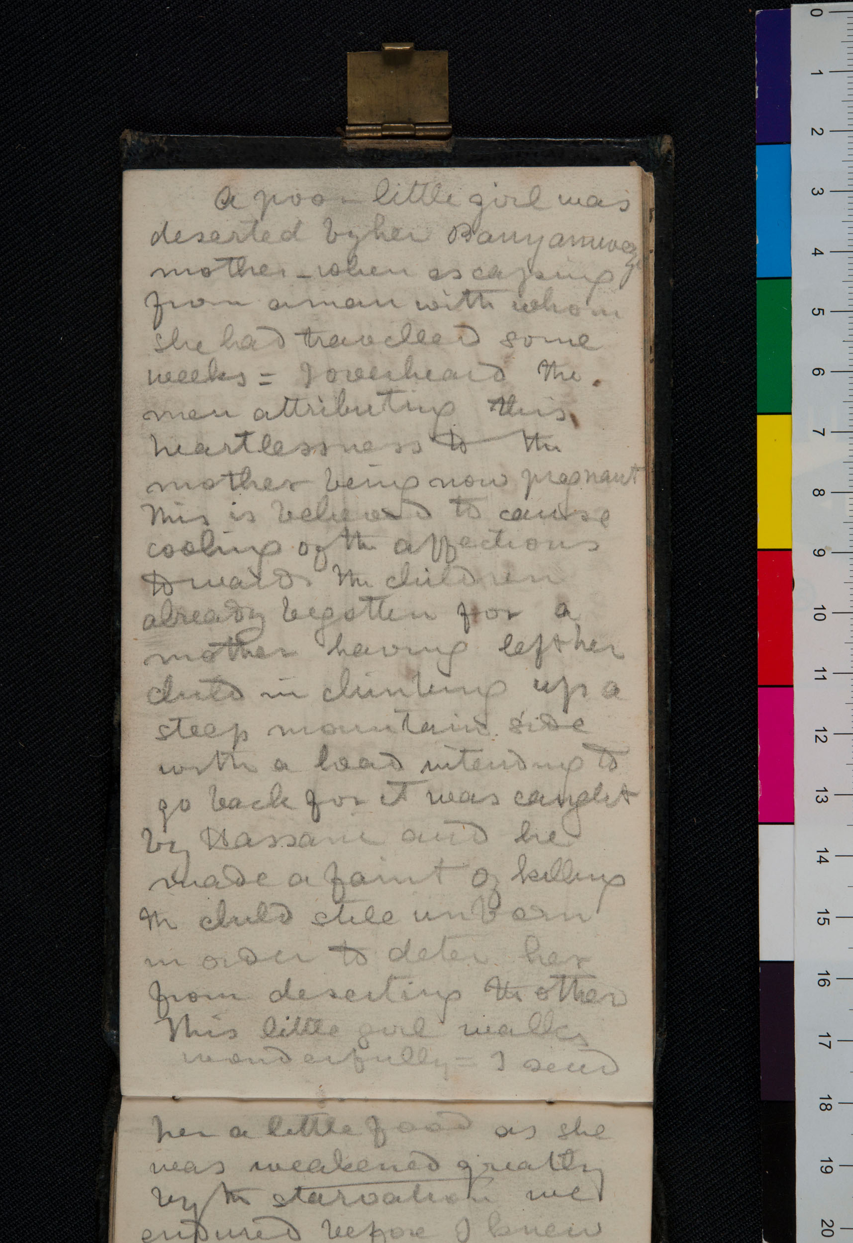 A page from David Livingstone, Field Diary XVI (1872h:[163]). Copyright David Livingstone Centre, University of Glasgow Photographic Unit, and Dr. Neil Imray Livingstone Wilson (as relevant). Creative Commons Attribution-NonCommercial 3.0 Unported (https://creativecommons.org/licenses/by-nc/3.0/).