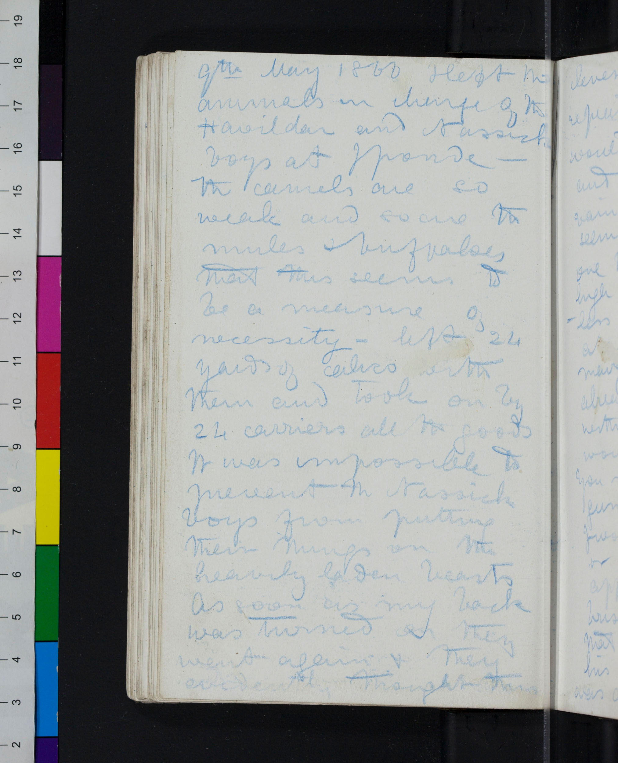An image of a page of Field Diary II (Livingstone 1866a:[88]). Copyright David Livingstone Centre. Creative Commons Attribution-NonCommercial 3.0 Unported (https://creativecommons.org/licenses/by-nc/3.0/).