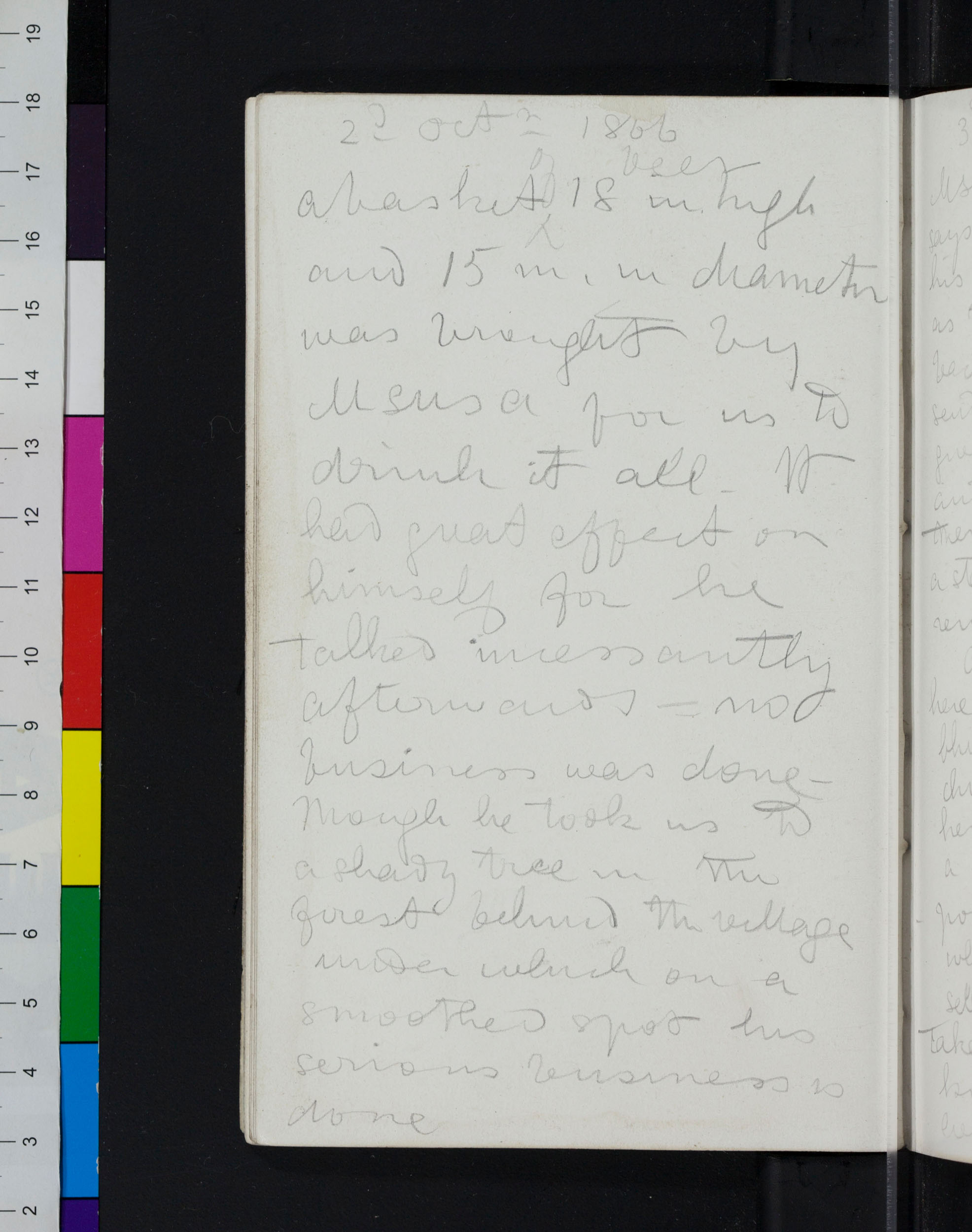 An image of a page of Field Diary V (Livingstone 1866d:[46]). Copyright David Livingstone Centre. Creative Commons Attribution-NonCommercial 3.0 Unported (https://creativecommons.org/licenses/by-nc/3.0/).