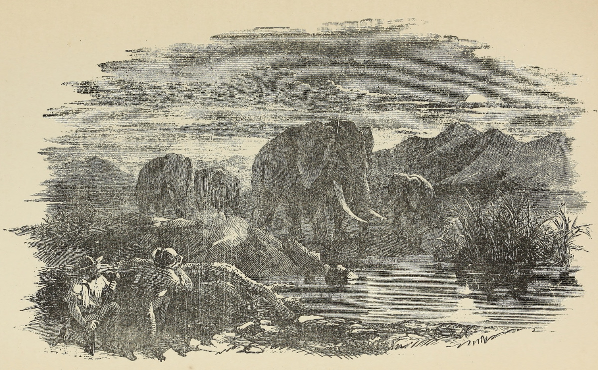 Elephant Shooting by Moonlight. Illustration from Roualeyn Gordon Cumming, Five Years’ Hunting in South Africa, complete popular edition (London: Simpkin, Marshall & Co, 1892), opposite 284. Courtesy of the Internet Archive (https://archive.org/details/fiveyearshunting1892roua).