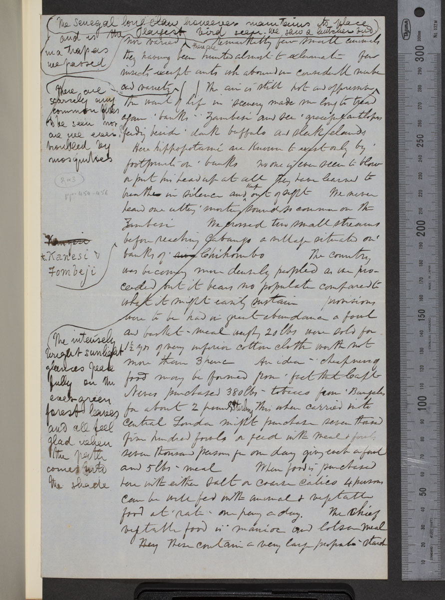 Image of a page of David Livingstone, Fragment of Missionary Travels and Researches in South Africa (Part III), January-October 1857: [3]. Image copyright The Brenthurst Press (Pty) Ltd, 2014. Creative Commons Attribution-NonCommercial 3.0 Unported (https://creativecommons.org/licenses/by-nc/3.0/).