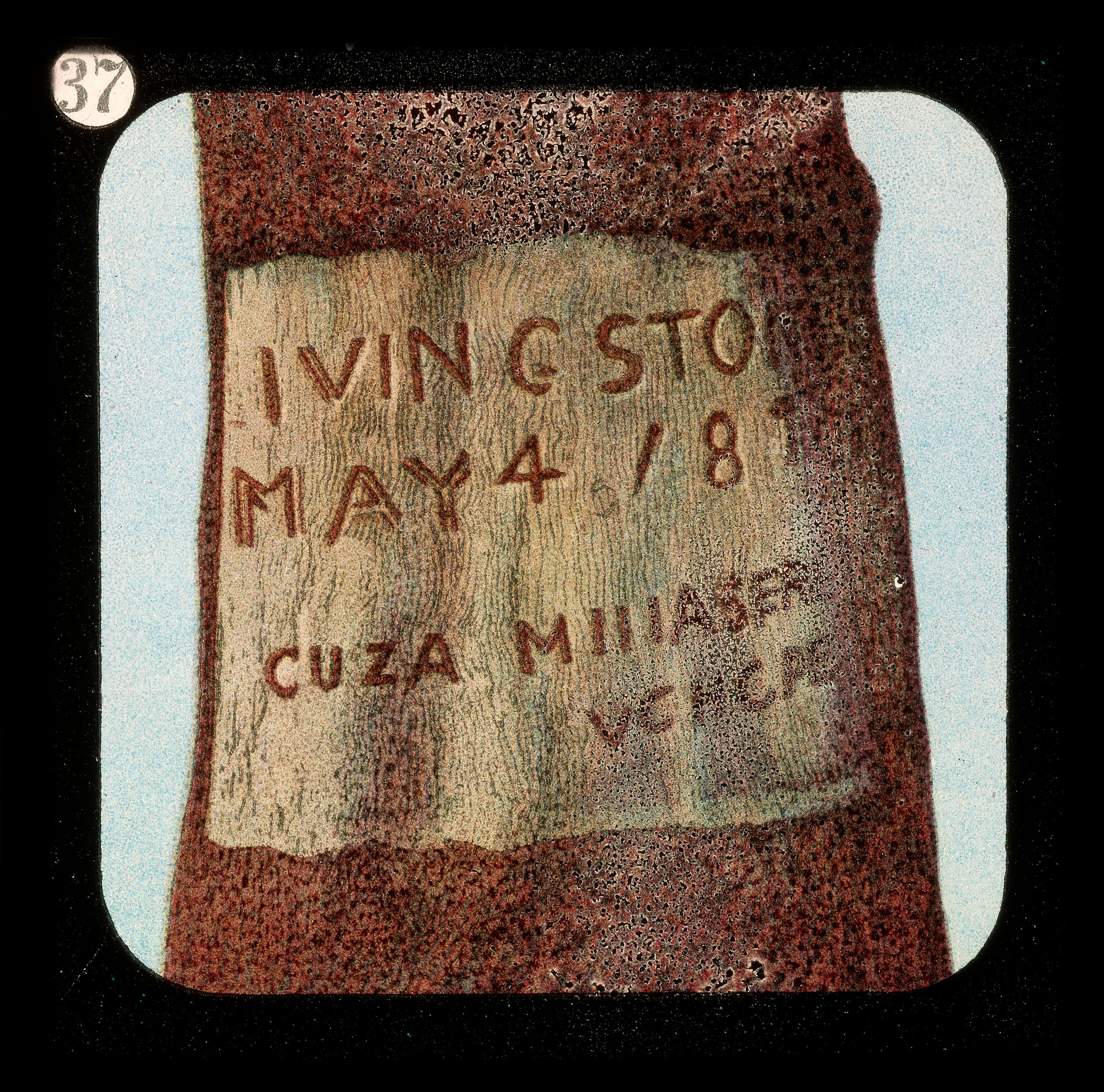 Inscription on Tree Where David Livingstone's Heart Is Buried. Lantern Slide from the Life, Adventures, and Work of David Livingstone (Anon. 1900: [37]). Image courtesy of the Smithsonian Libraries, Washington, D.C.