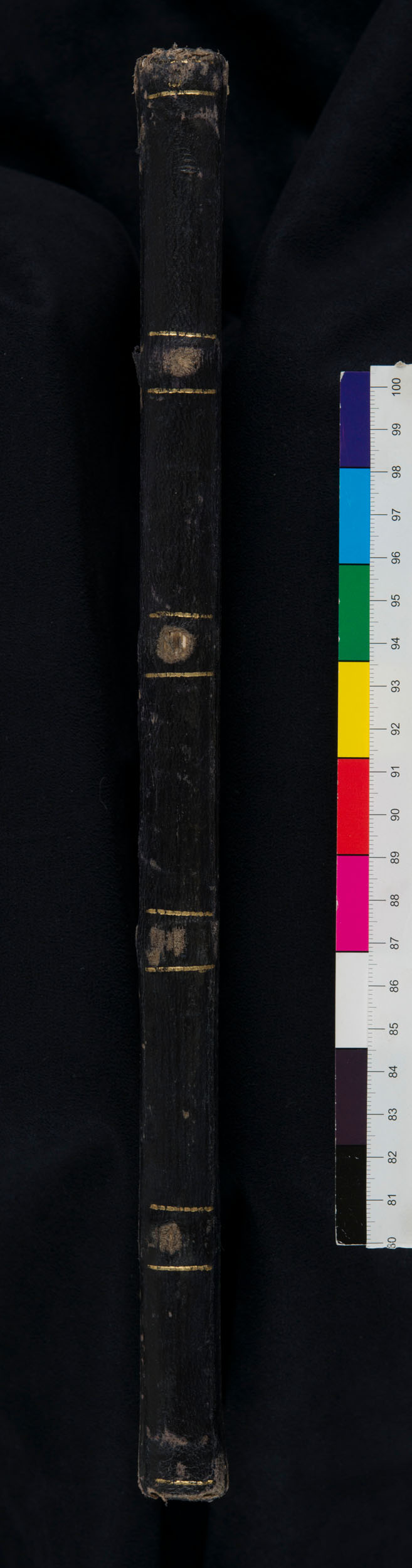 An image of the spine of the second Unyanyembe Journal (Livingstone 1871n:[12]). Copyright David Livingstone Centre. Creative Commons Attribution-NonCommercial 3.0 Unported (https://creativecommons.org/licenses/by-nc/3.0/).
