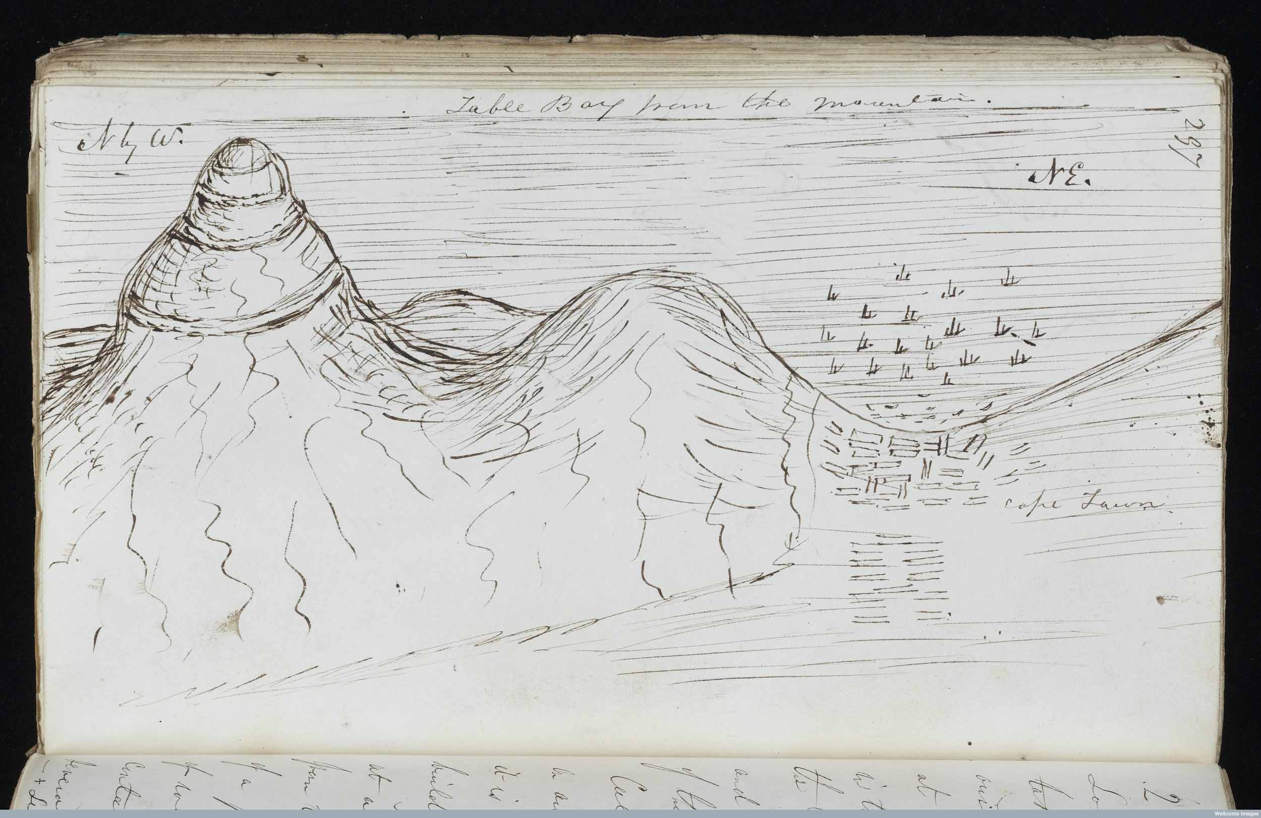 Ink sketch of 'Table Bay from the Mountain' [Table Mountain], Showing Lion's Head and Lion's Rump and Cape Town, 1840, by Robert McCormick. Copyright Wellcome Library, London. Creative Commons Attribution 4.0 International (https://creativecommons.org/licenses/by/4.0/).