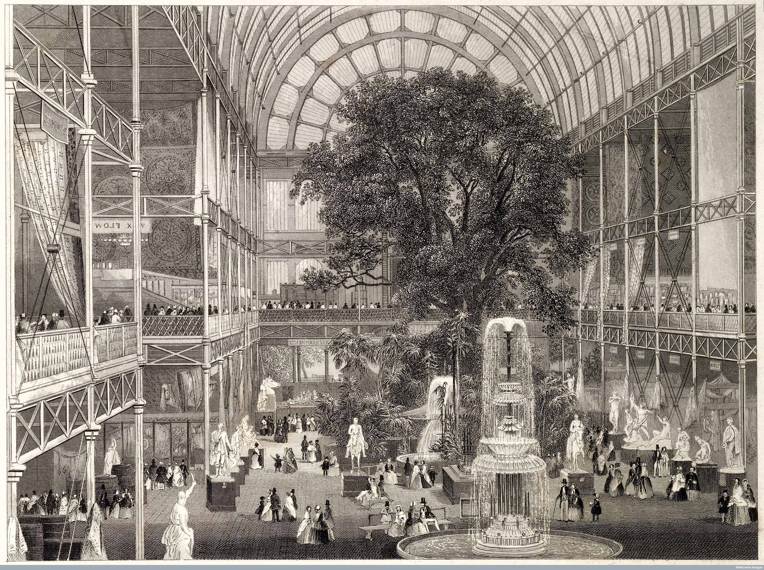 Steel engraving: 1851 Great Exhibition, Crystal Palace. Copyright Wellcome Library, London. Creative Commons Attribution 4.0 International (https://creativecommons.org/licenses/by/4.0/).