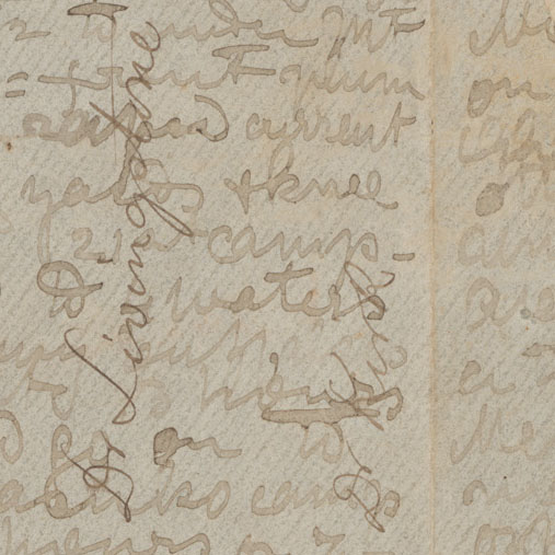 An image of a page of the 1871 Field Diary (Livingstone 1871l:[1]), detail. Copyright David Livingstone Centre, Blantyre. As relevant, copyright Dr. Neil Imray Livingstone Wilson. Creative Commons Attribution-NonCommercial 3.0 Unported (https://creativecommons.org/licenses/by-nc/3.0/).
