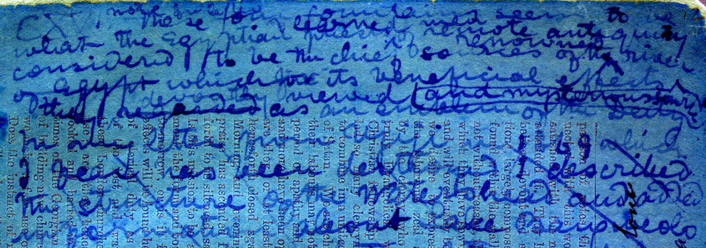 A processed spectral image of a page of the 1871 Field Diary (Livingstone 1871f:CXVI spectral_ratio), detail. Copyright David Livingstone Centre, Blantyre. As relevant, copyright Dr. Neil Imray Livingstone Wilson. Creative Commons Attribution-NonCommercial 3.0 Unported (https://creativecommons.org/licenses/by-nc/3.0/).