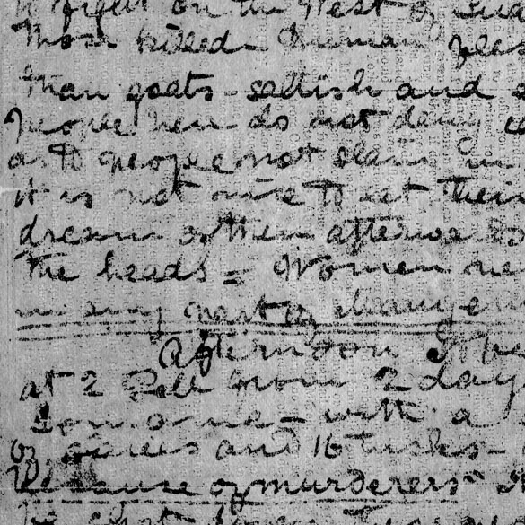 A processed spectral image of a page of the 1871 Field Diary (Livingstone 1871f:CXXVI pca621r_adapThresh), detail. Copyright David Livingstone Centre, Blantyre. As relevant, copyright Dr. Neil Imray Livingstone Wilson. Creative Commons Attribution-NonCommercial 3.0 Unported (https://creativecommons.org/licenses/by-nc/3.0/).