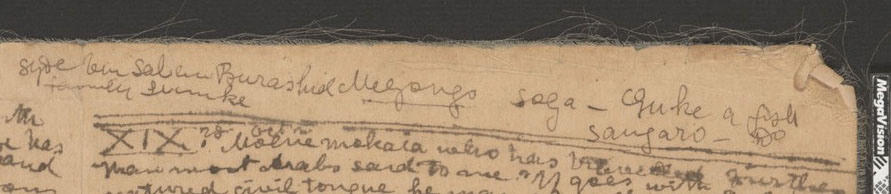 An image of page from  the 1870 Field Diary (Livingstone 1870h:XIX), detail. Copyright David Livingstone Centre. Creative Commons Attribution-NonCommercial 3.0 Unported (https://creativecommons.org/licenses/by-nc/3.0/).